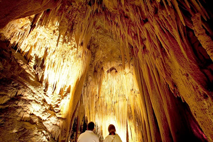 Hastings Caves and Thermal Springs - Image 1