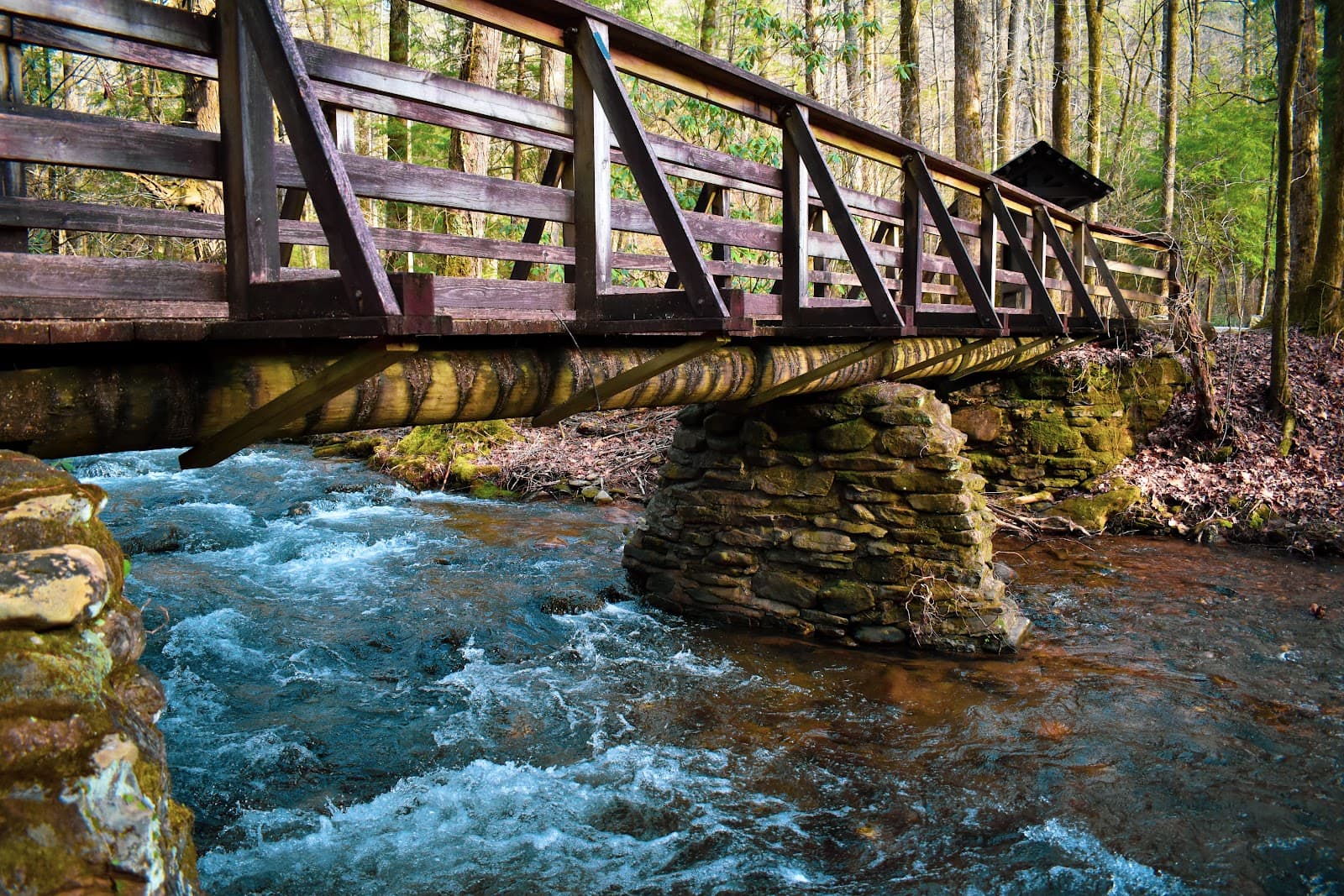DeSoto Falls Recreation Area - Image 1
