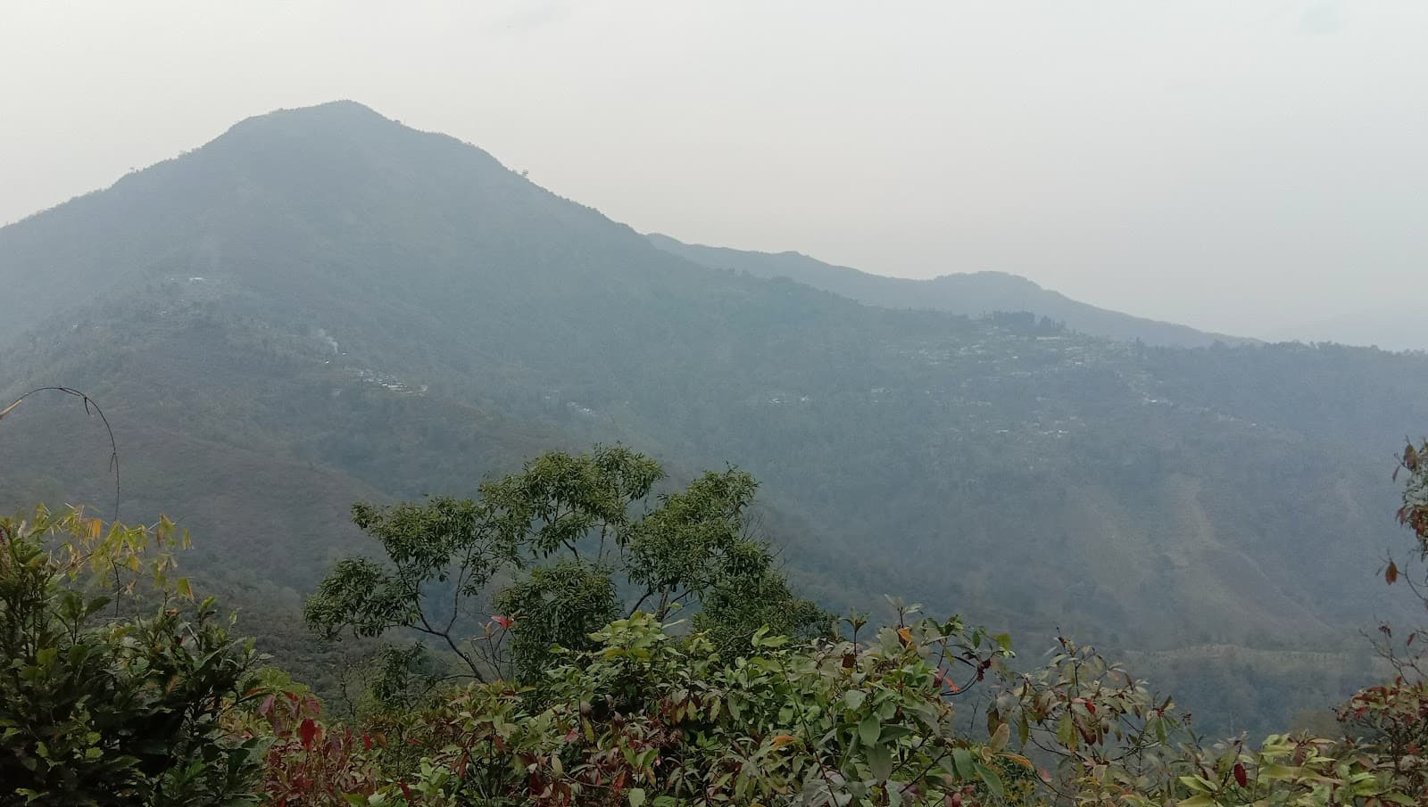 Latpanchar (Mahananda WLS) - Image 1