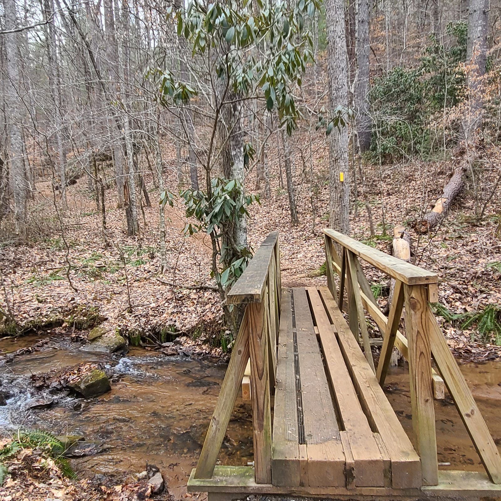 Bartram Trail Franklin NC - Image 1