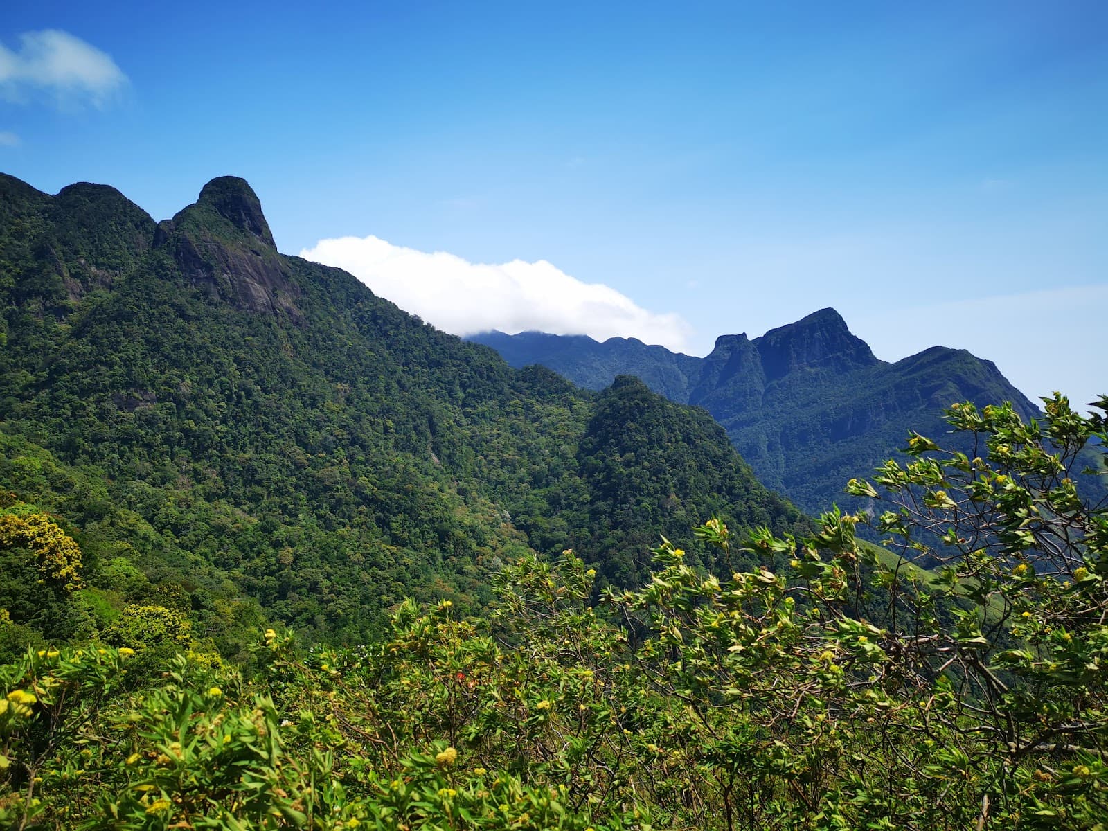 Knuckles Conservation Forest - Image 1
