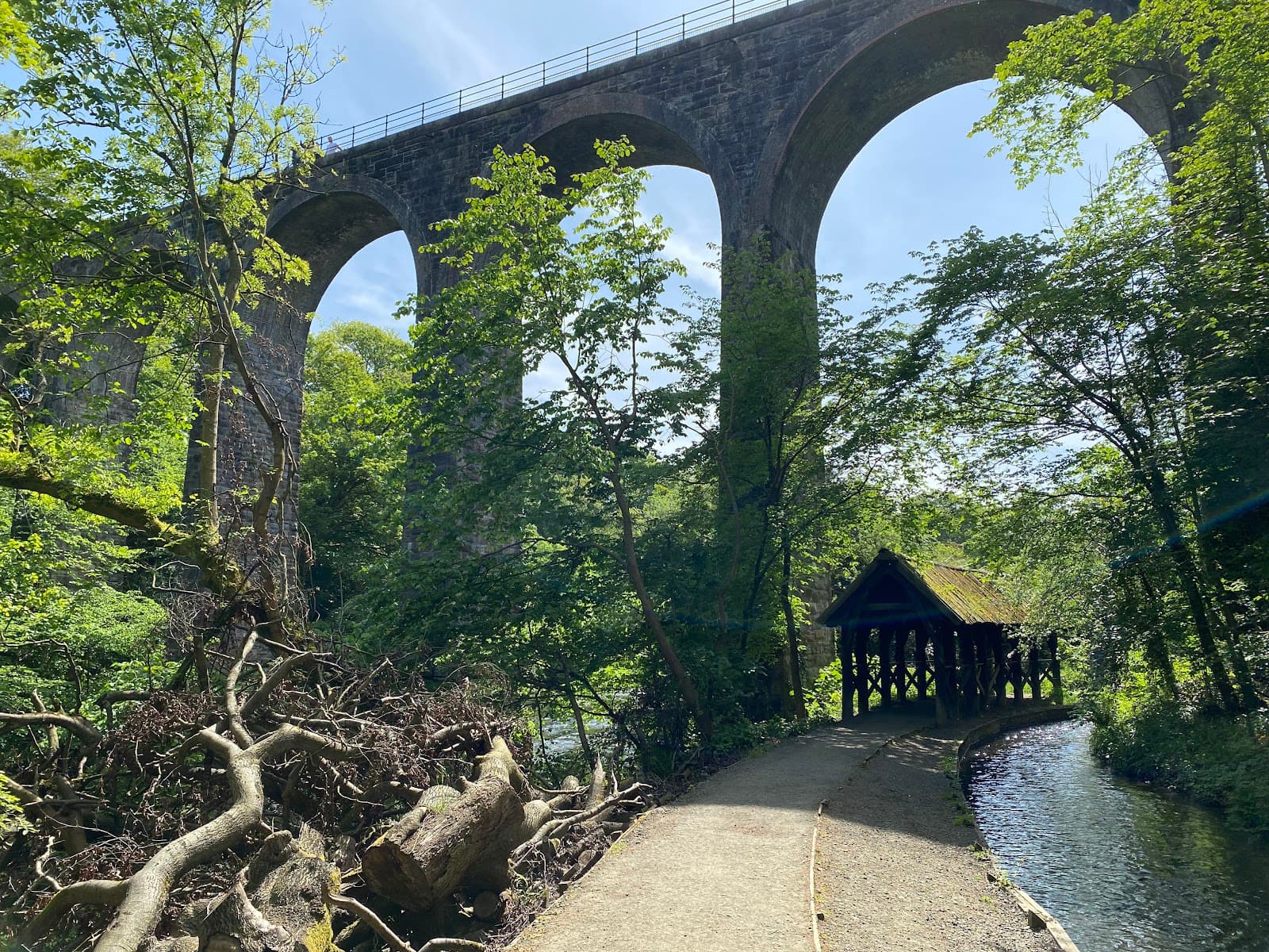 Camps Viaduct (Almond Valley Viaduct) - Image 1