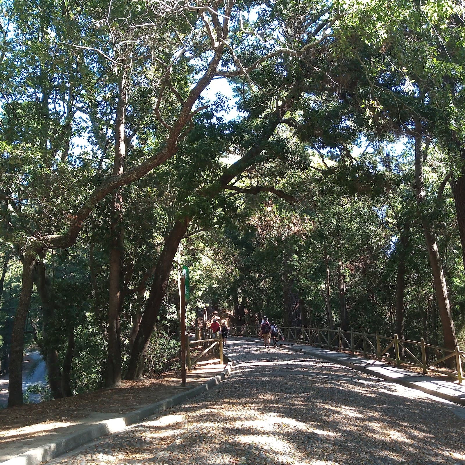 Cerro Caracol Park - Image 1