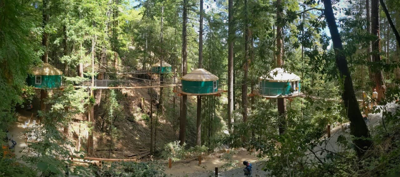 Sonoma Zipline Adventures - Image 1