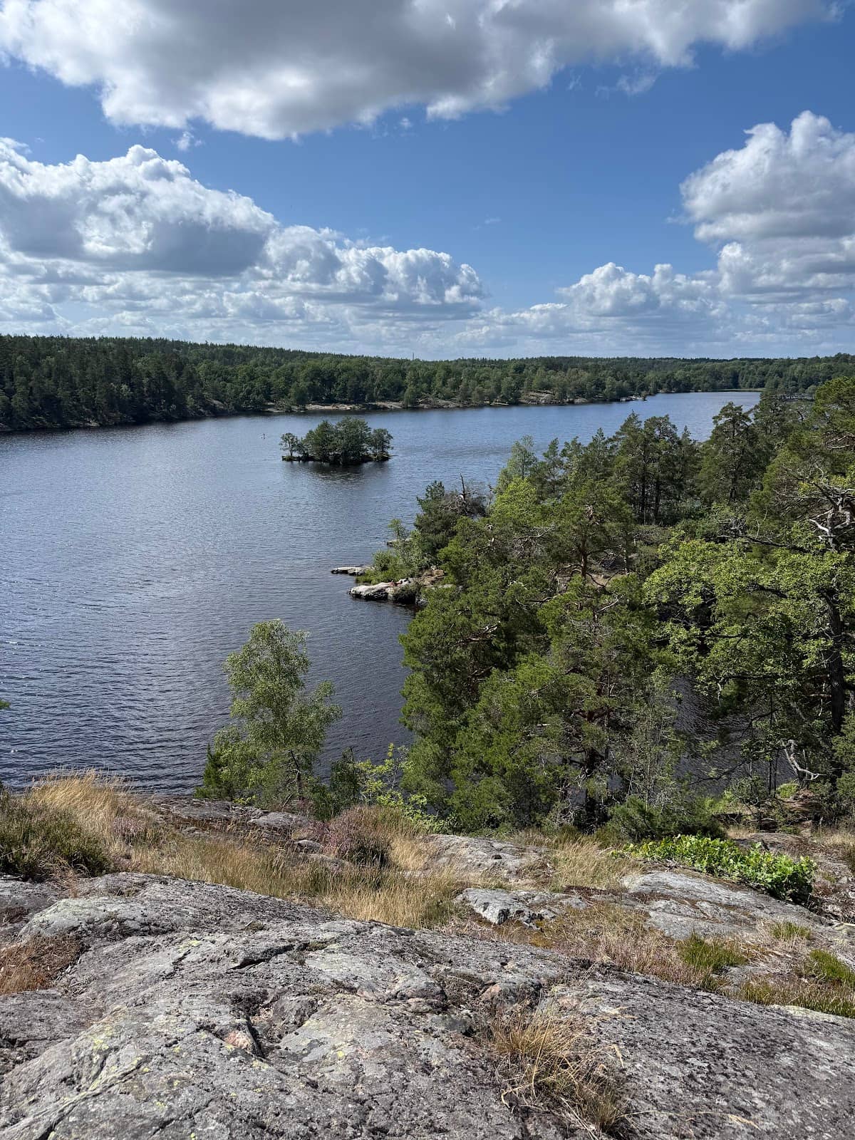 Ancient Forests & Wildlife