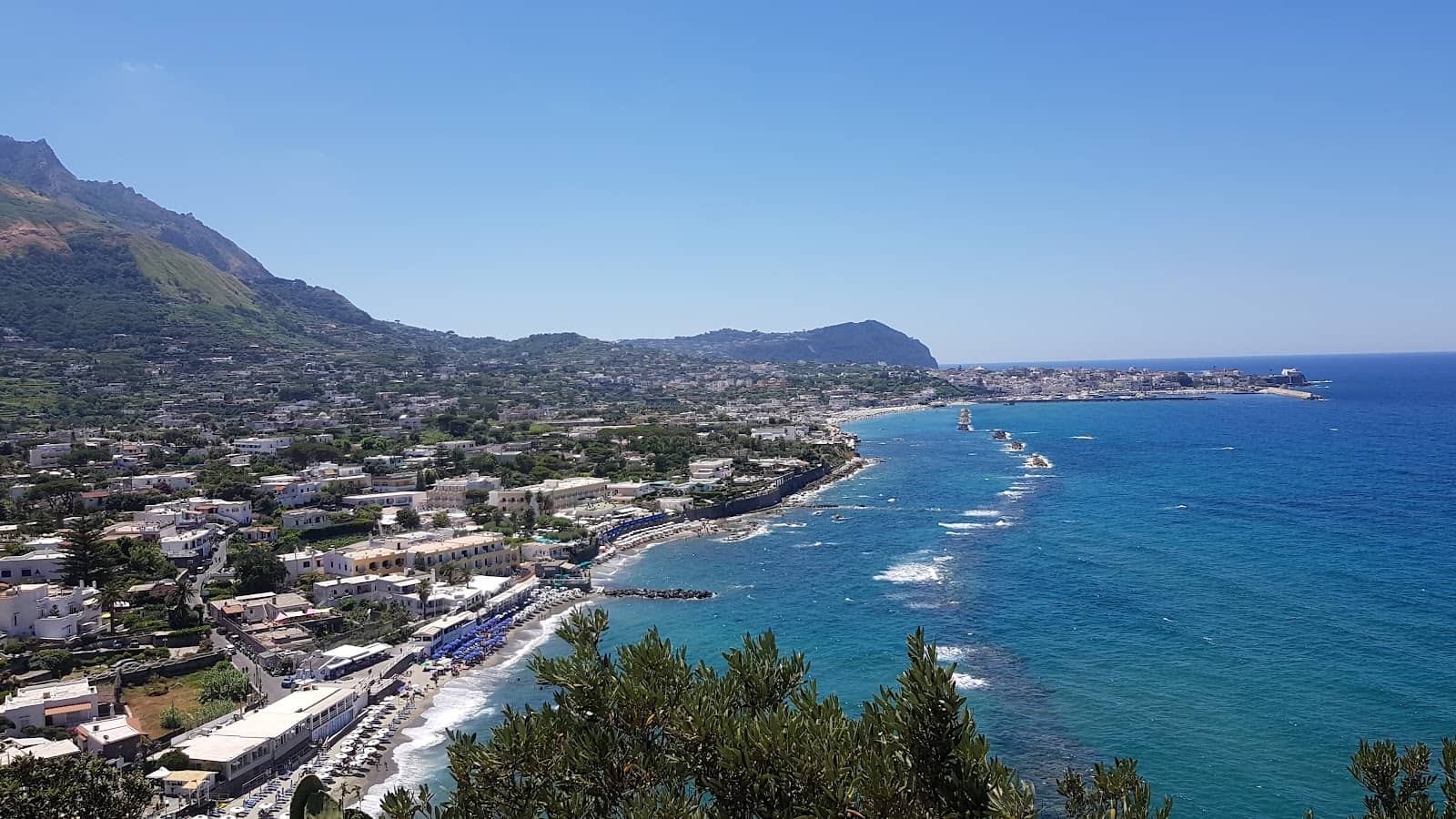 Charming Feline Companions