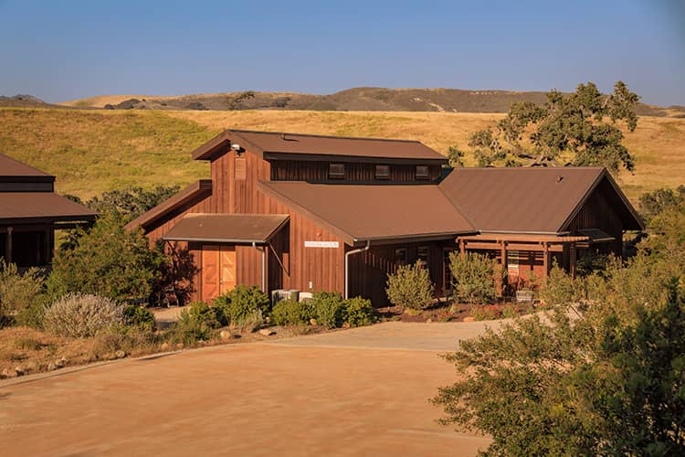 Scenic Vineyard Views