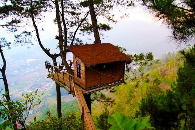 Omah Kayu Tree House - Image 1