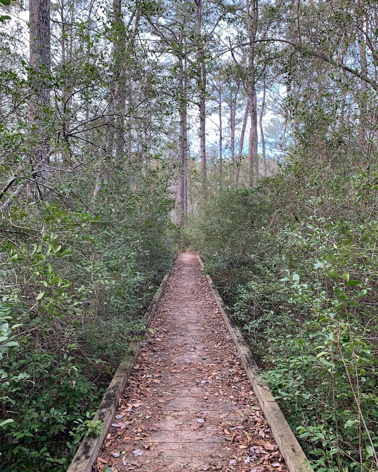 Varied Trail Segments