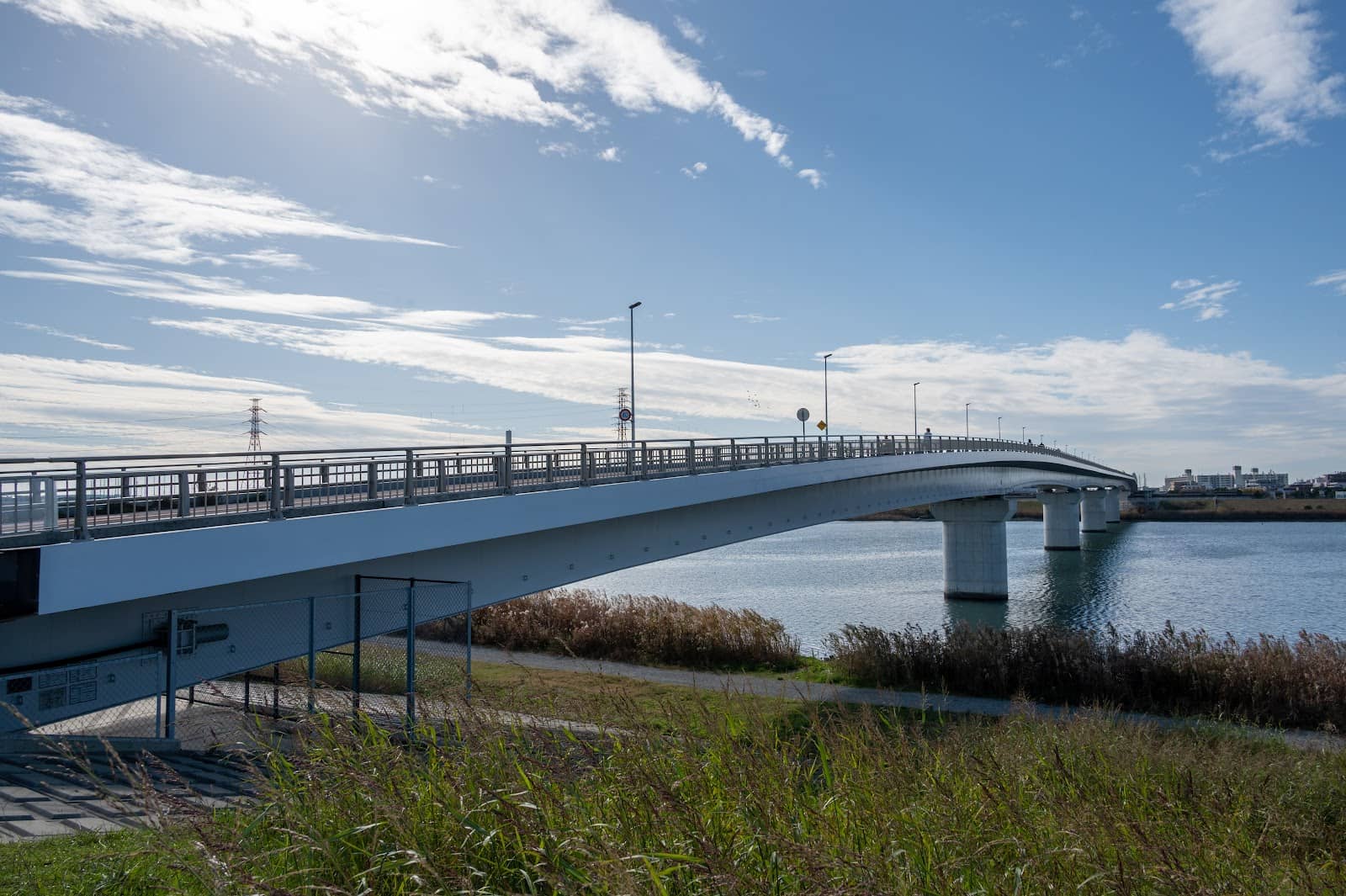 Mt. Fuji on a Clear Day