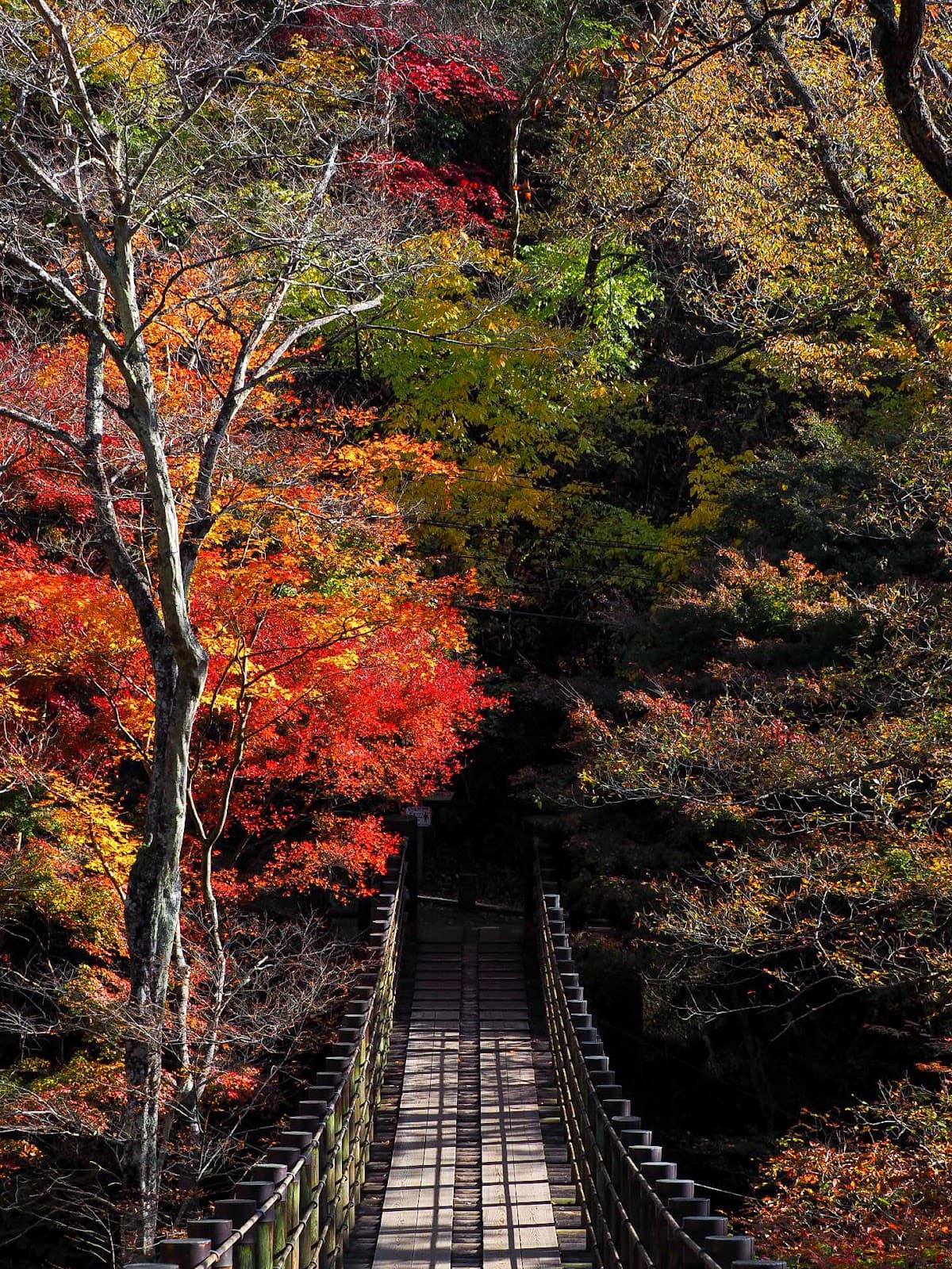 Hananuki Gorge - Image 1