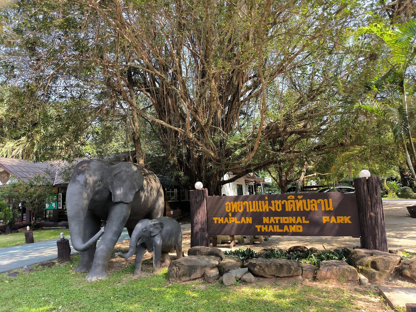 Thap Lan National Park - Image 1