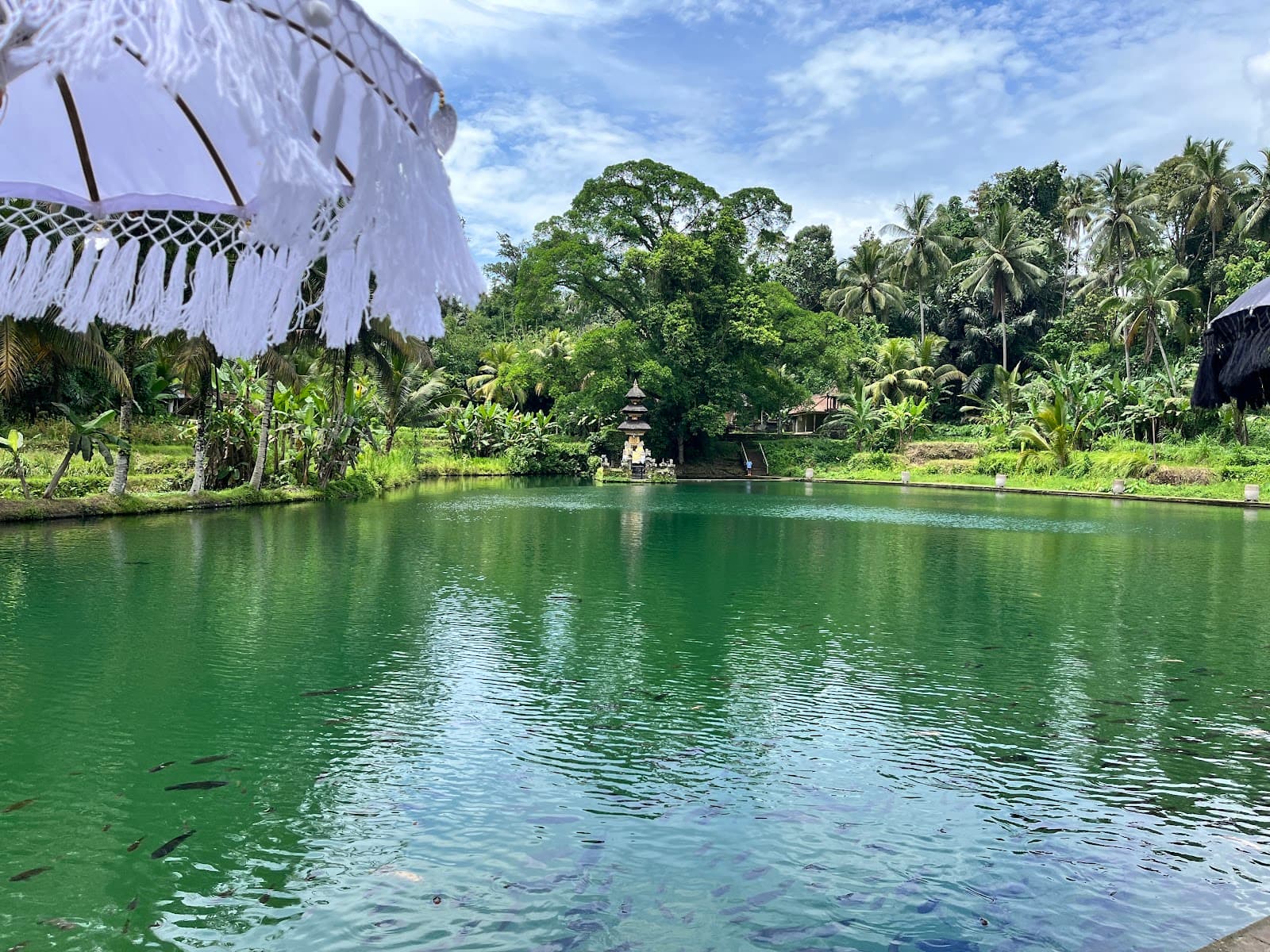 Taman Mumbul Sangeh - Image 1