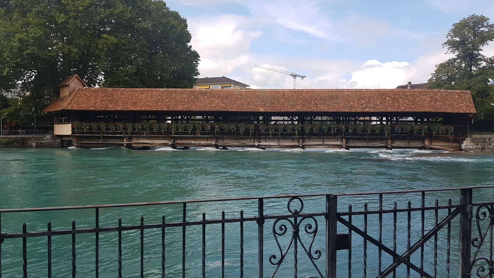 Lakeside and Riverbed Views