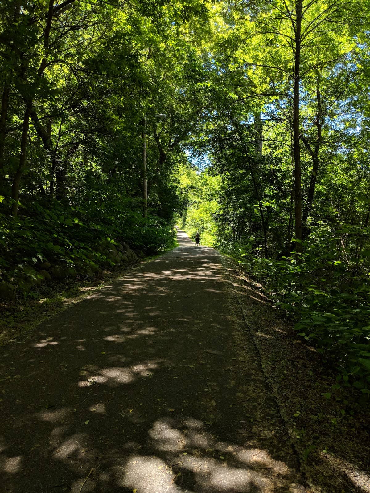 Trail of the Molten Land