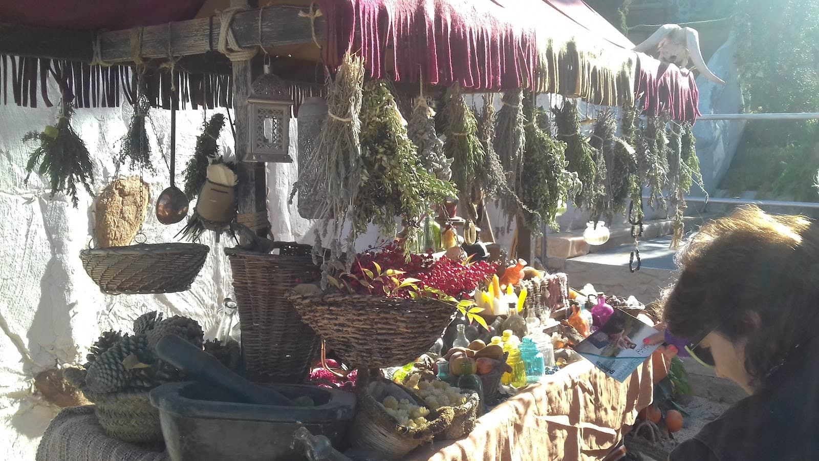 Albereda de Jaume I - Image 1