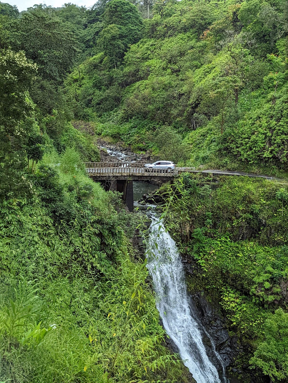 Hana Highway (Road to Hana) - Image 1