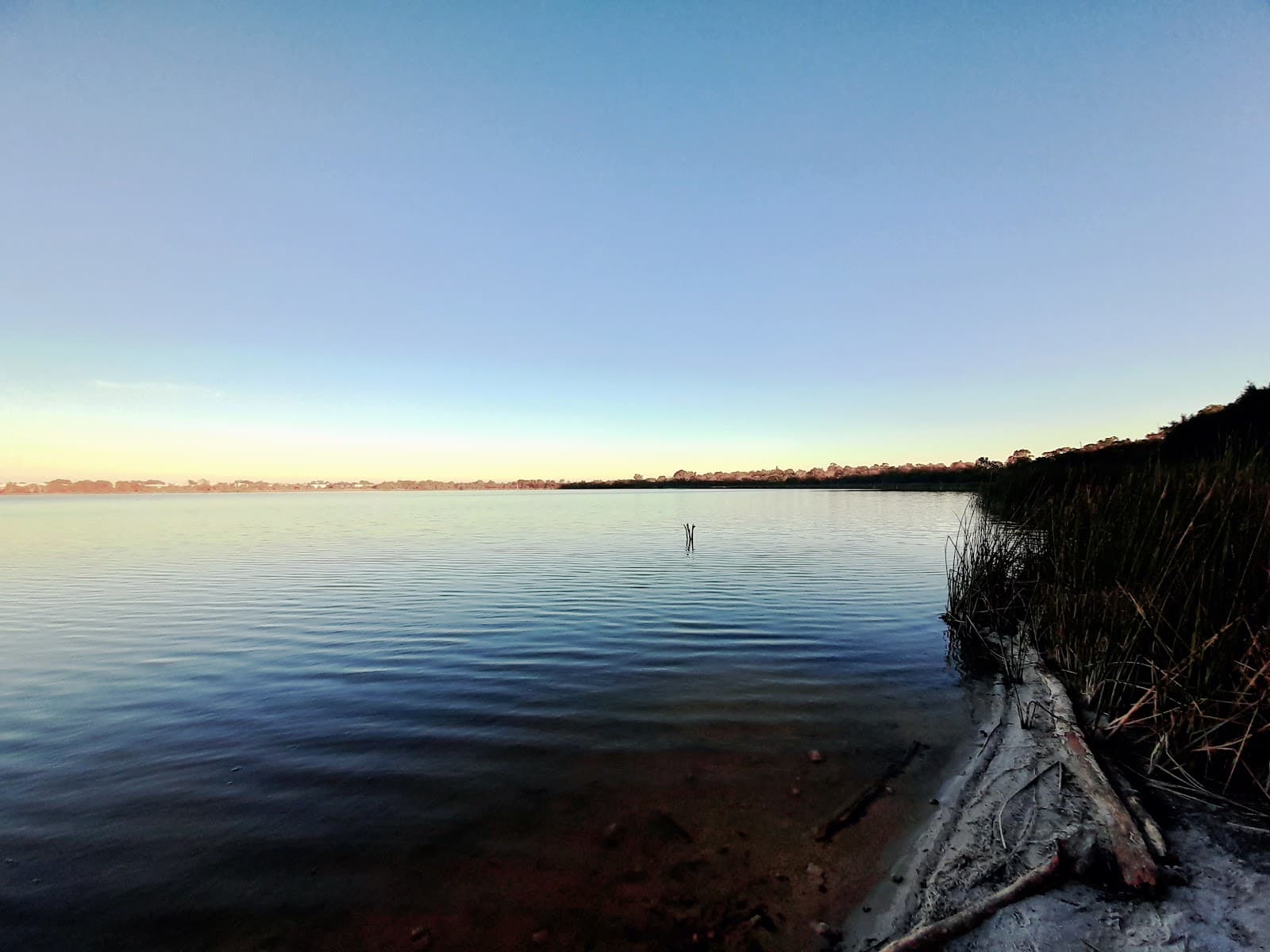 Yangebup Lake - Image 1