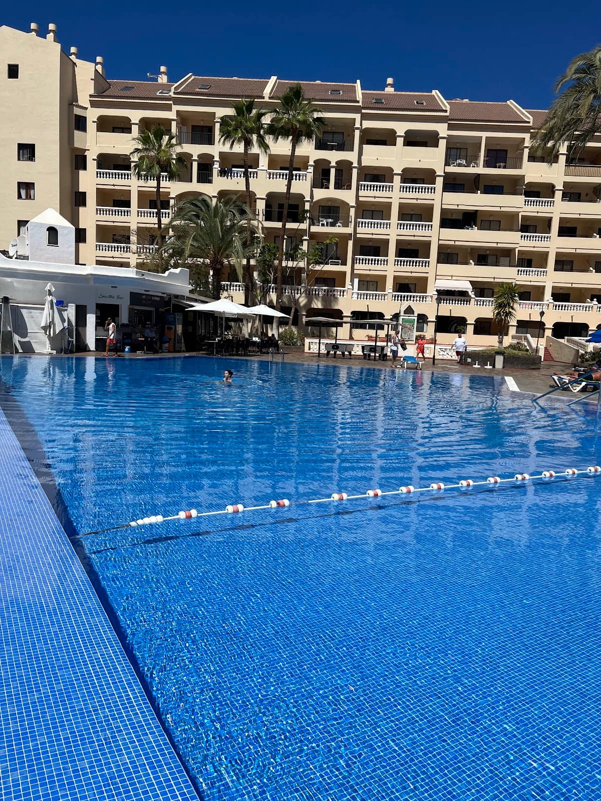 Whale & Dolphin Watching