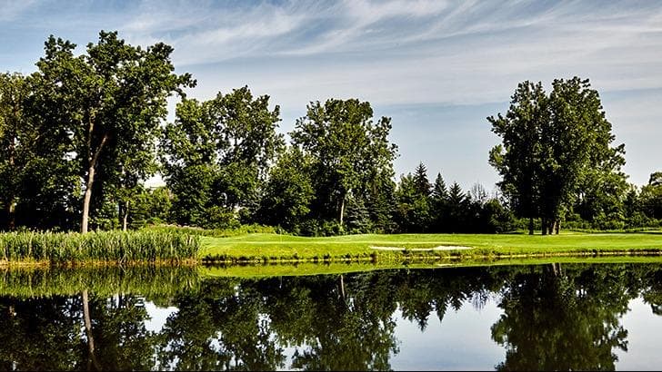 TPC Michigan - Image 1