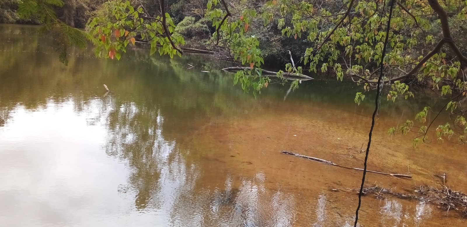 Free Coffee Stations