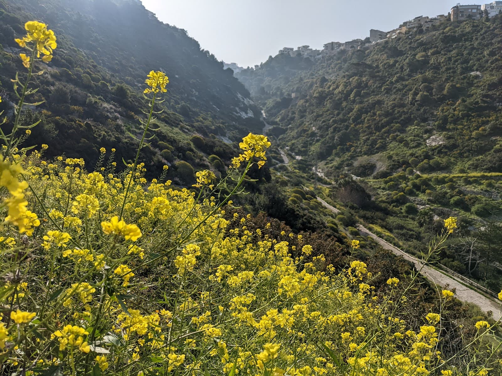 Nahal Siah - Image 1