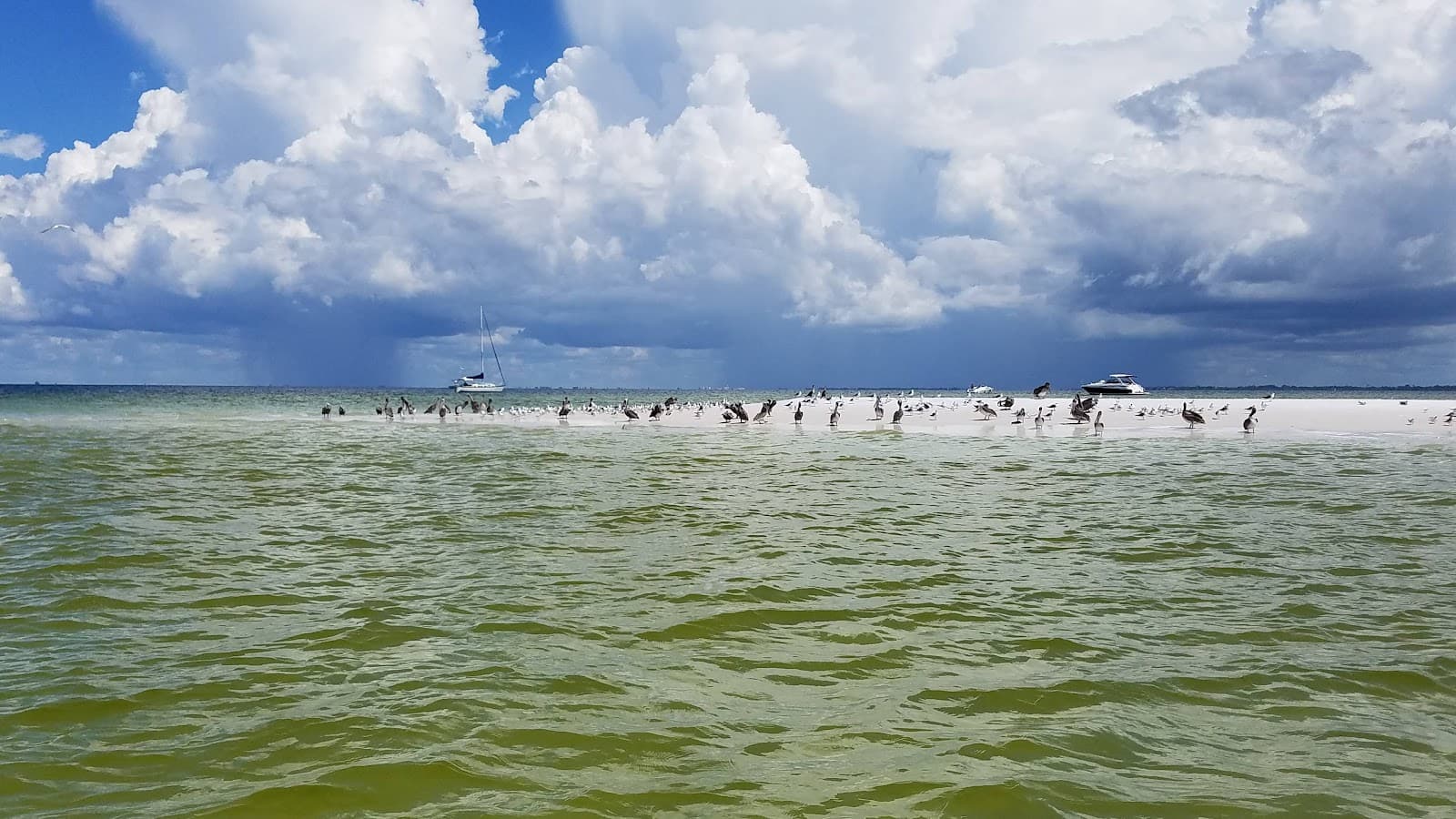 Passage Key National Wildlife Refuge - Image 1