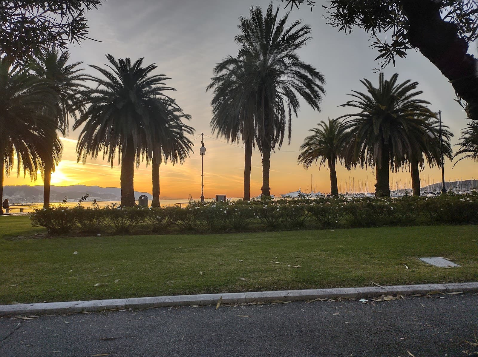 Molo Italia - Image 1