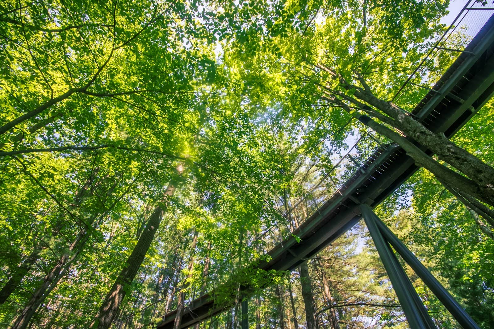 Children's Garden & Play Area