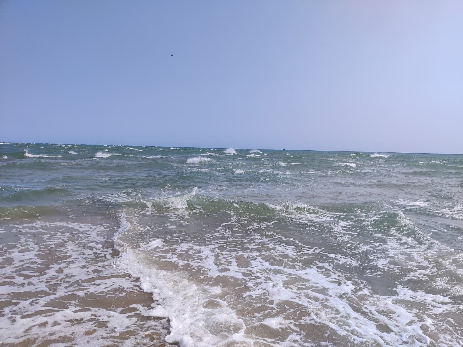 Skagen and Grenen - Image 1