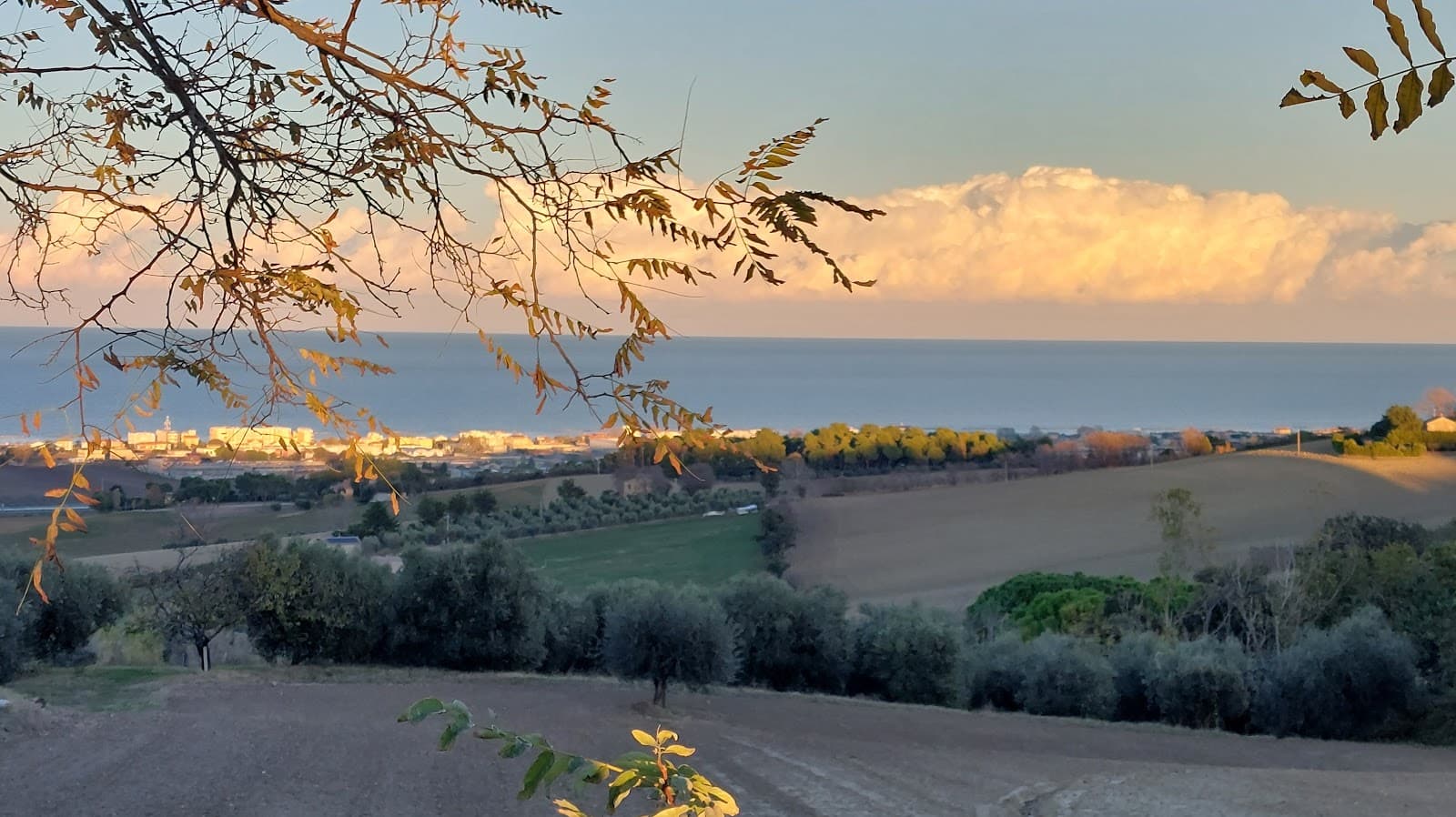 Scapezzano Hill Hamlet - Image 1