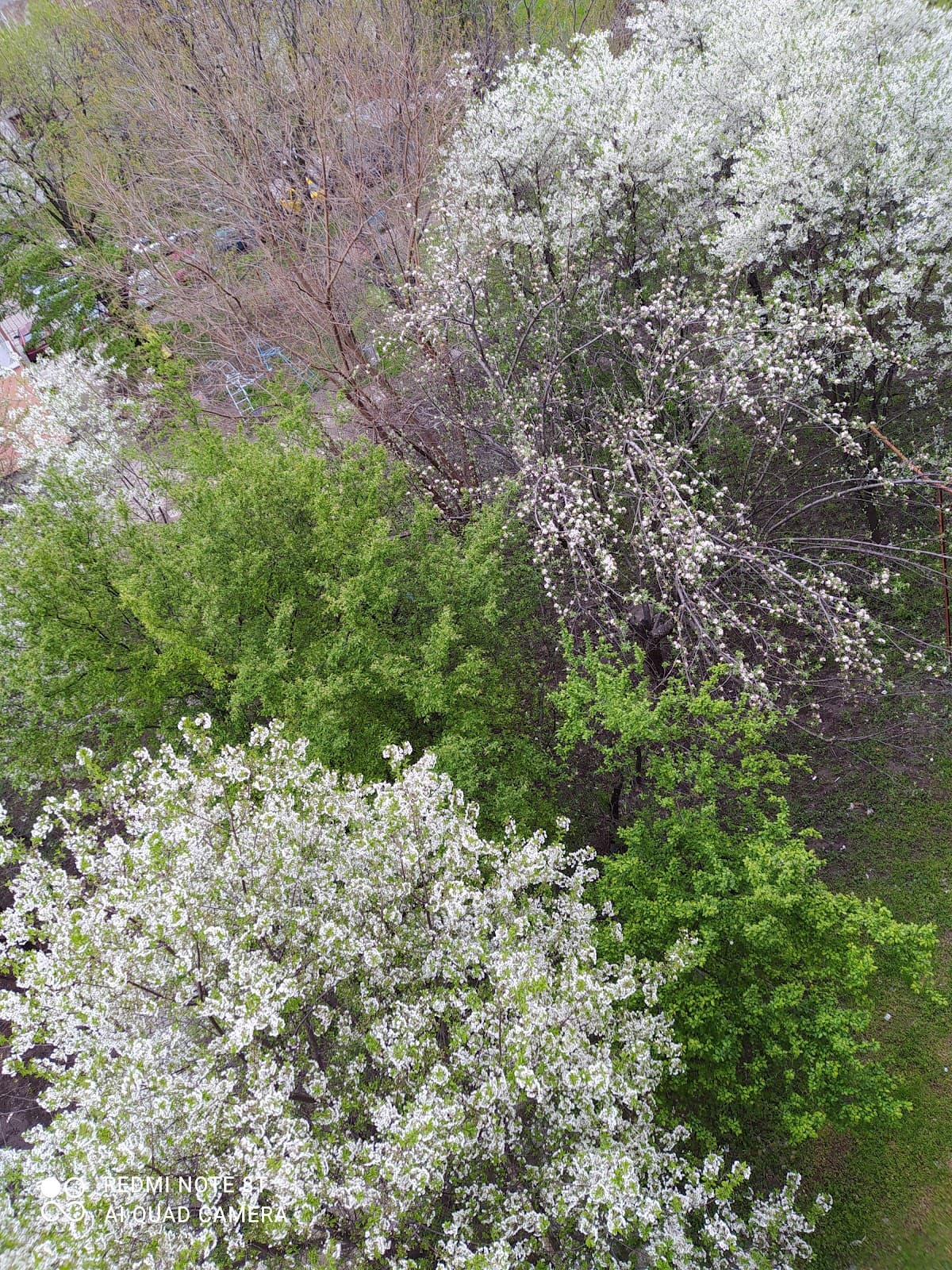 Karshiaka District - Image 1