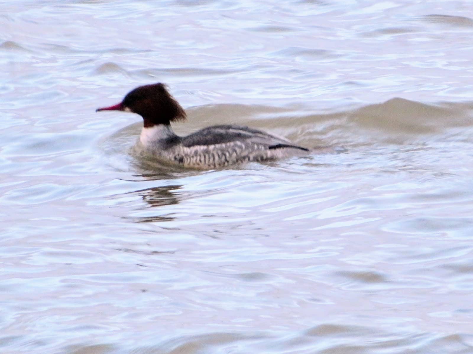 Local Beauty Services