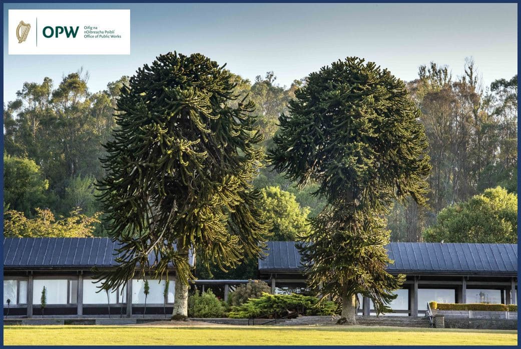 JFK Arboretum, New Ross - Image 1