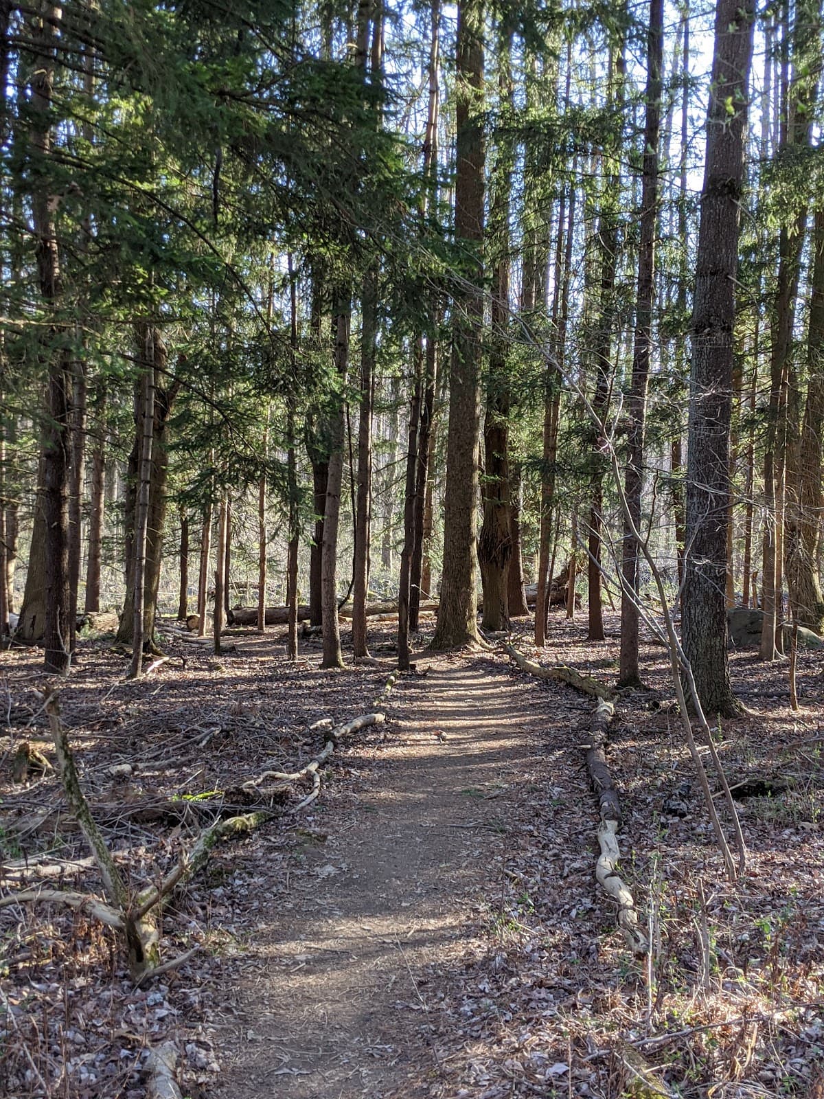 Herrontown Woods Arboretum Princeton - Image 1