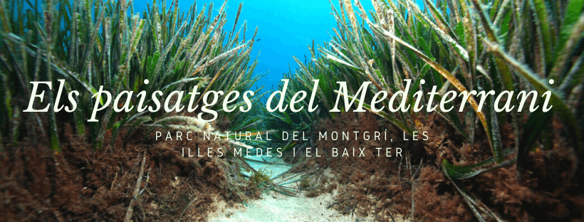 Montgrí Natural Park (L'Escala sector) - Image 1