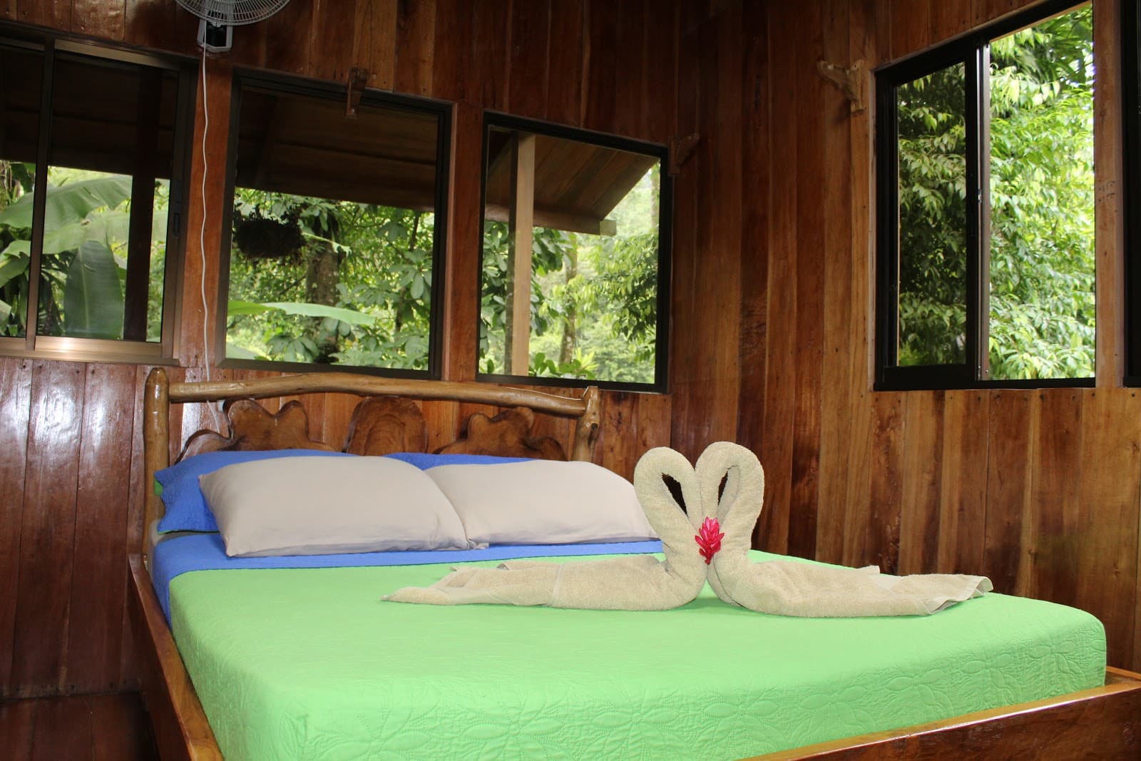 Los Campesinos Reserve and Hanging Bridges - Image 1