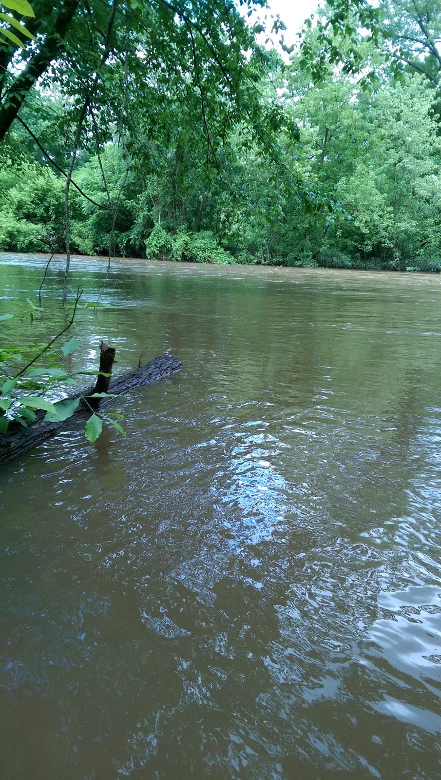 Lower Trail - Image 1