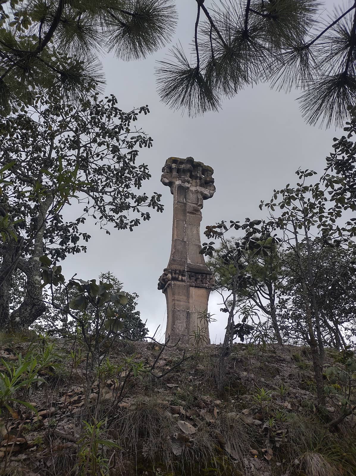Picnic & Barbecue Areas