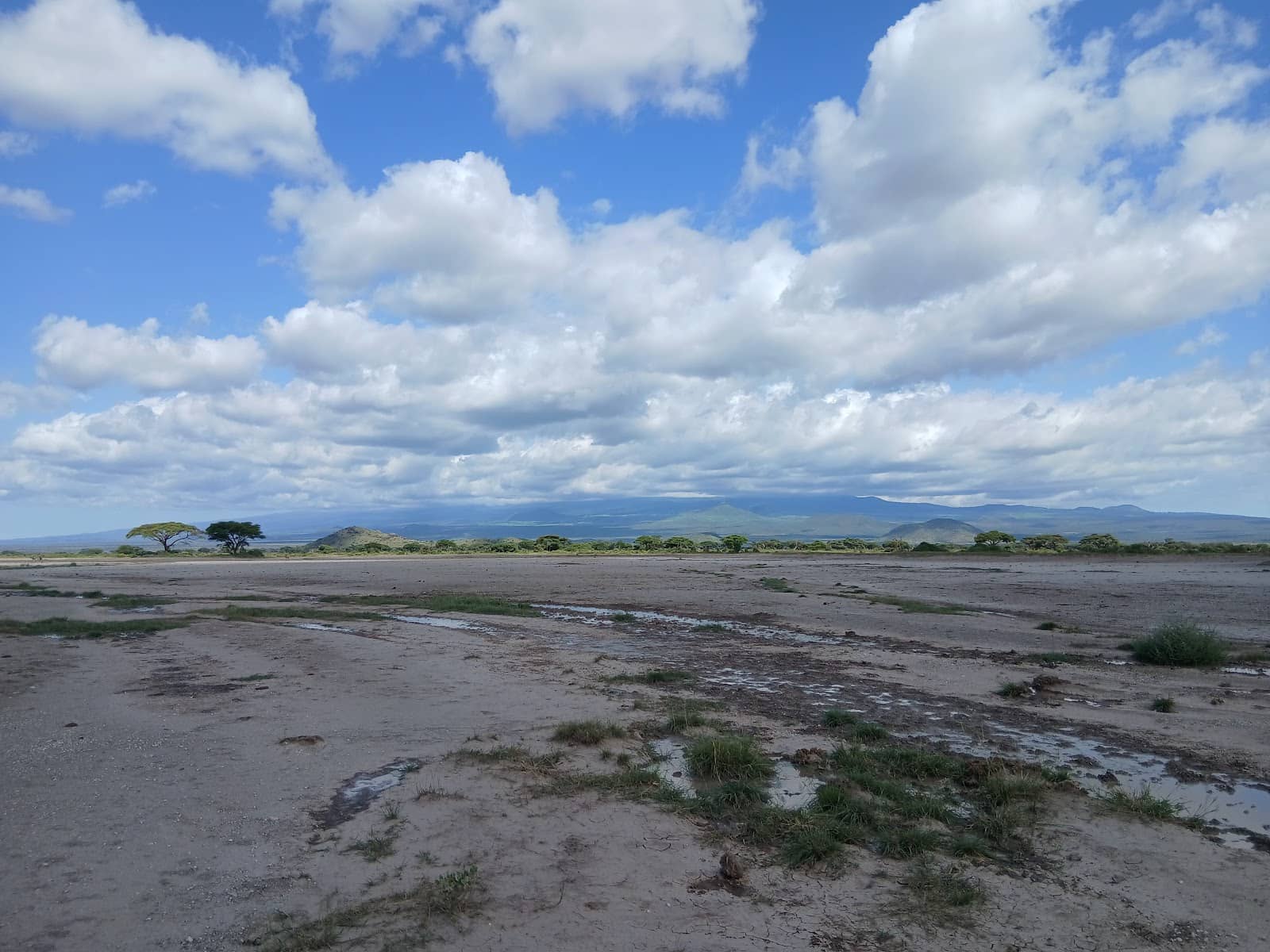 Walking Safaris with Maasai Guides