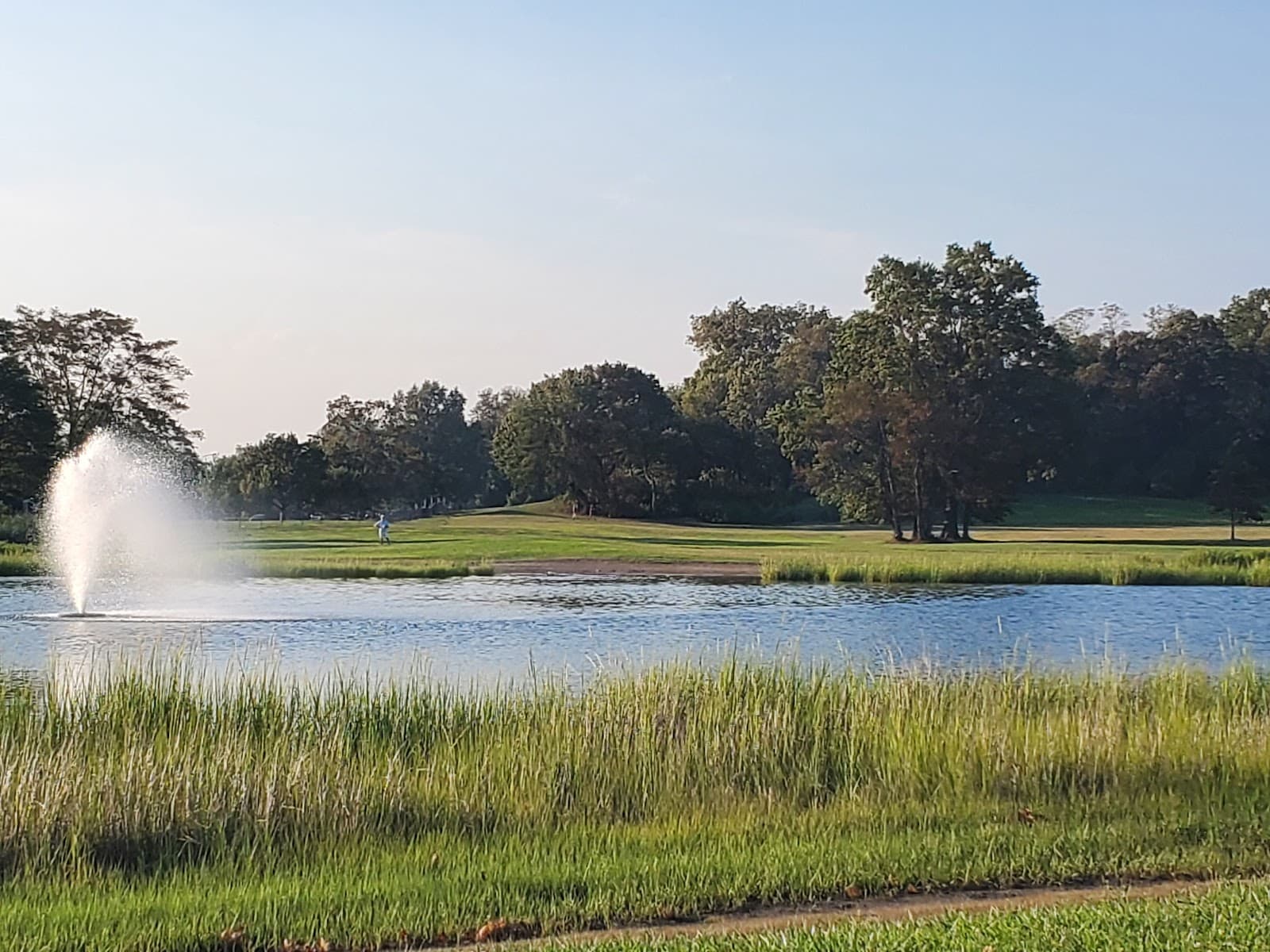 Taylor Farm Park - Image 1