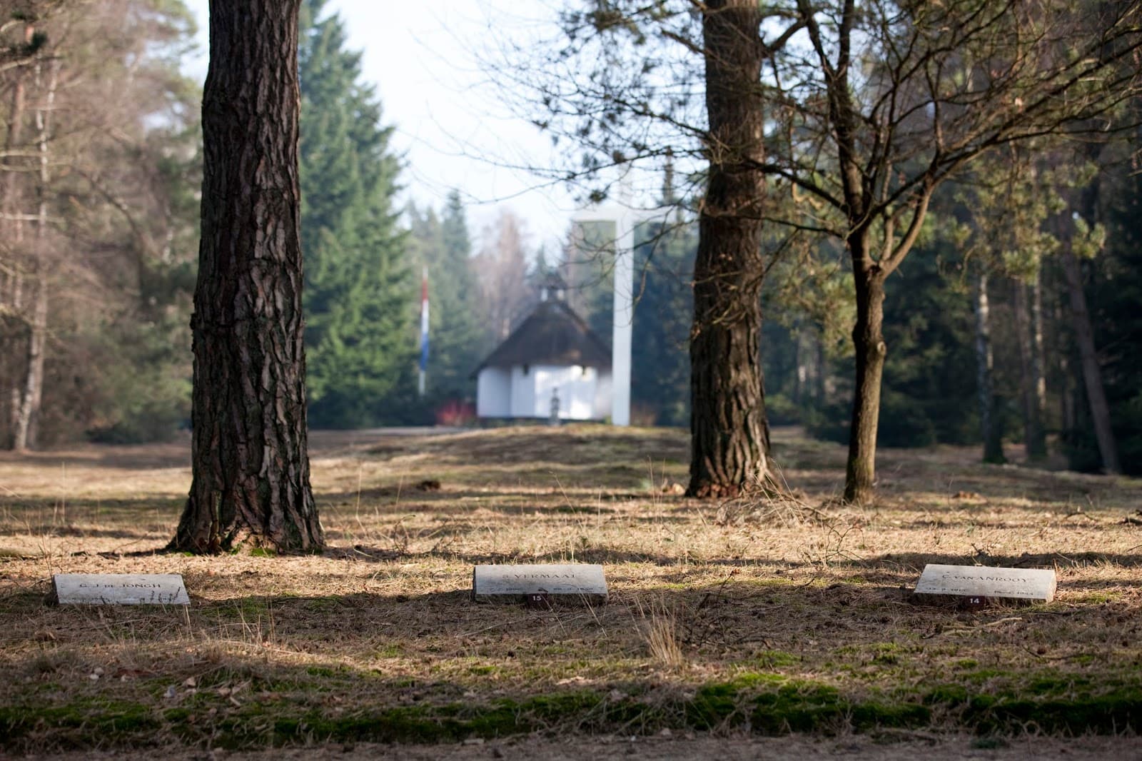 Nationaal Ereveld Loenen - Image 1
