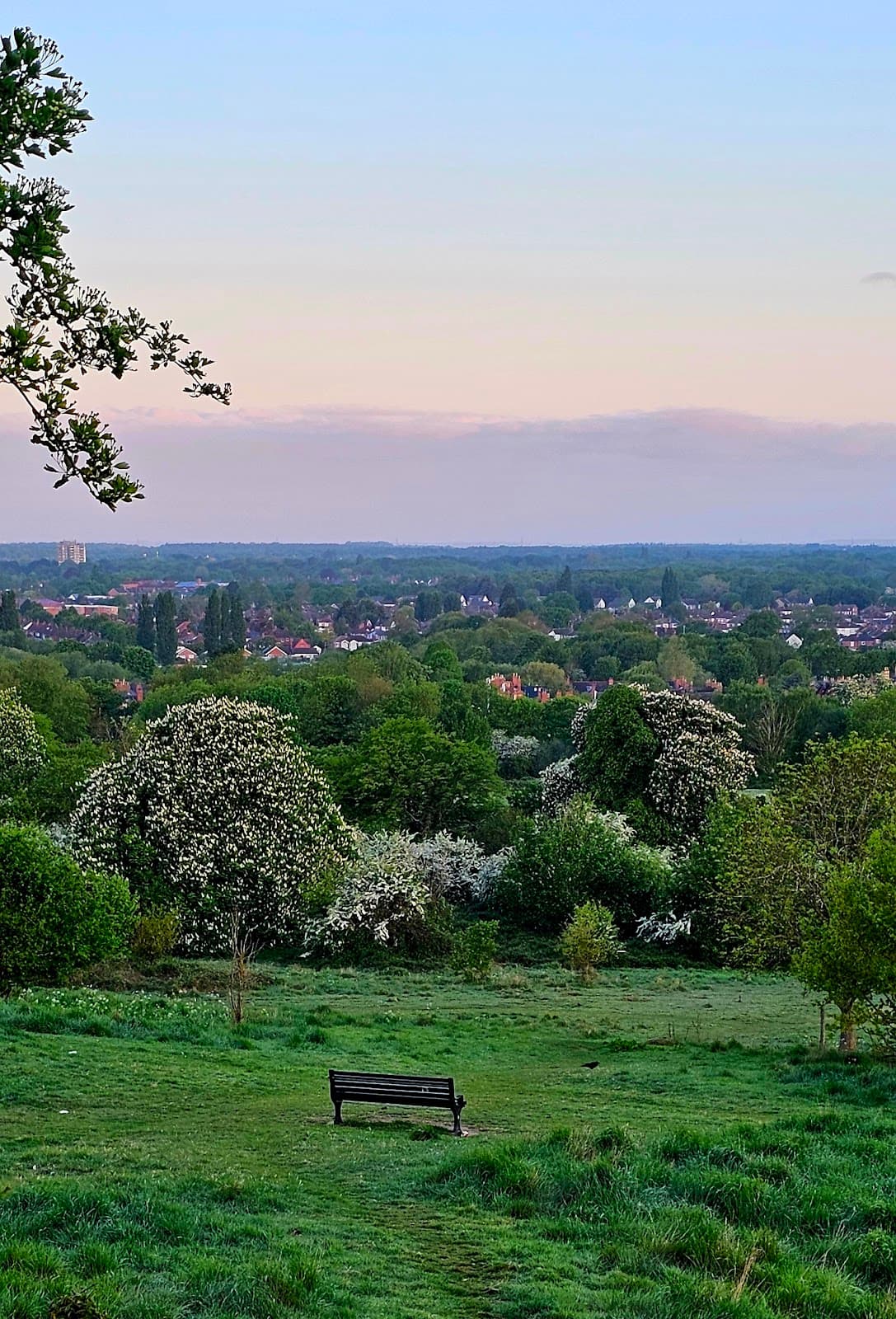 South Common - Image 1