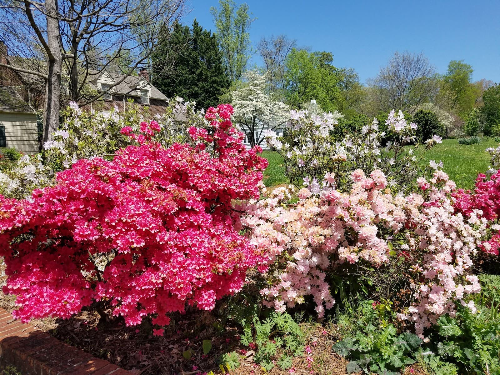 Sequoyah Hills - Image 1