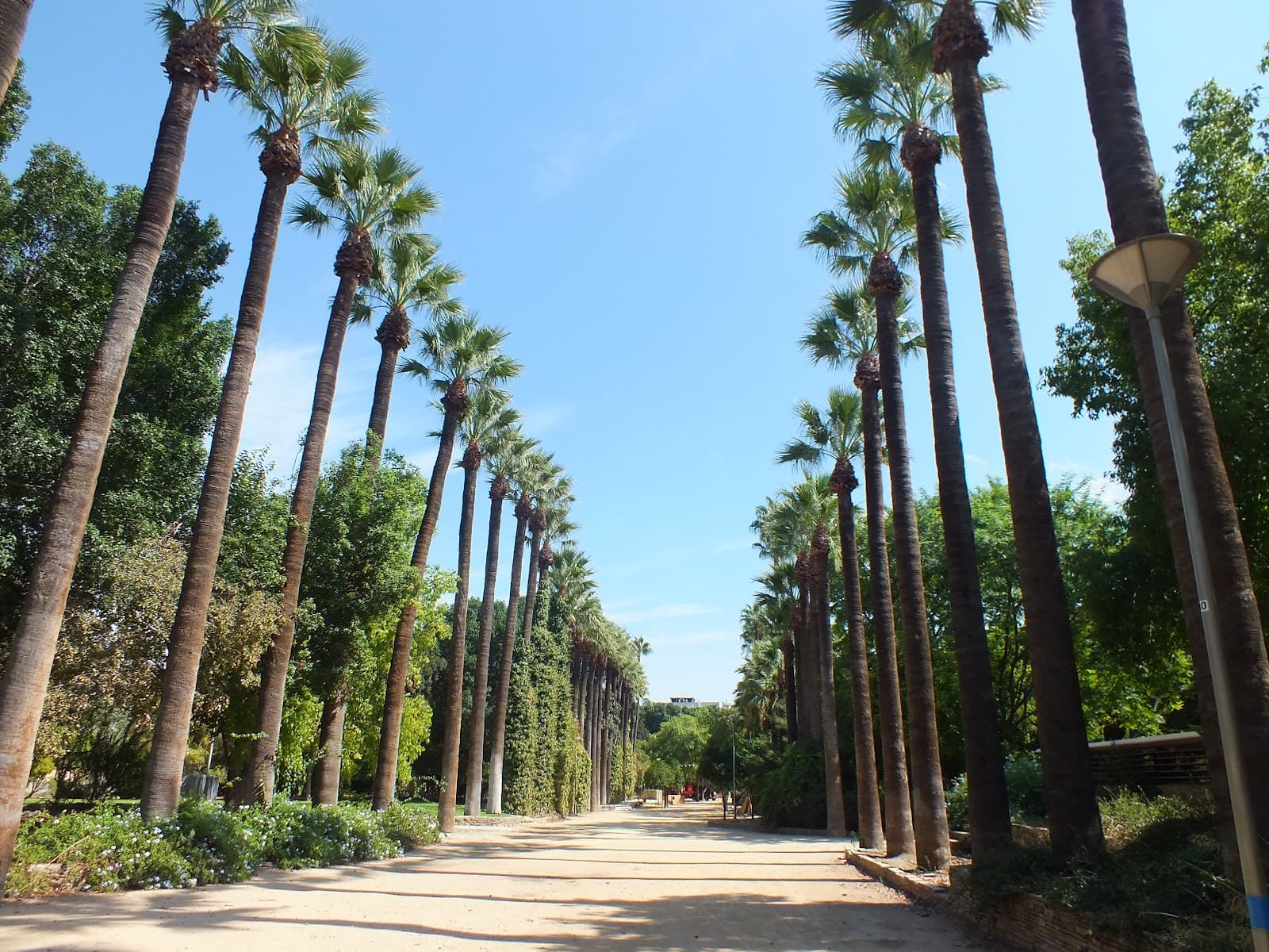 Nicosia Municipal Gardens - Image 1