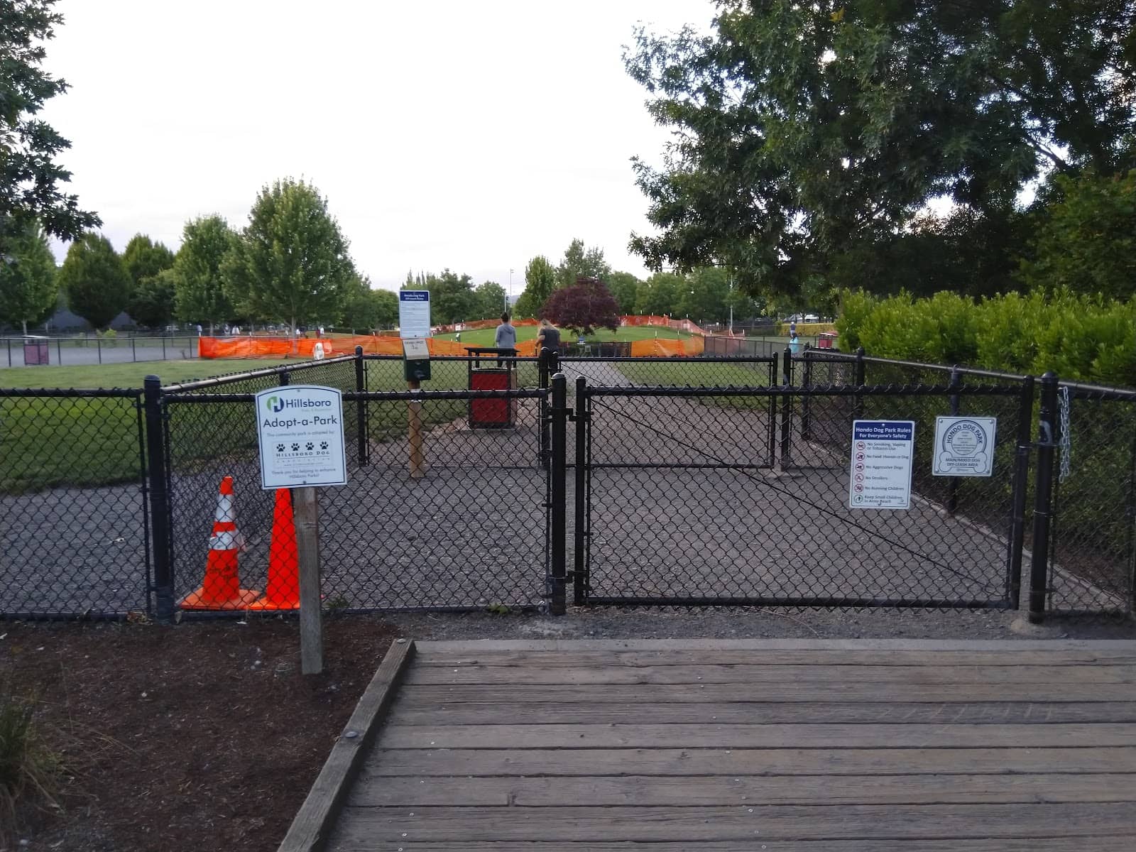 Expansive Grassy Field