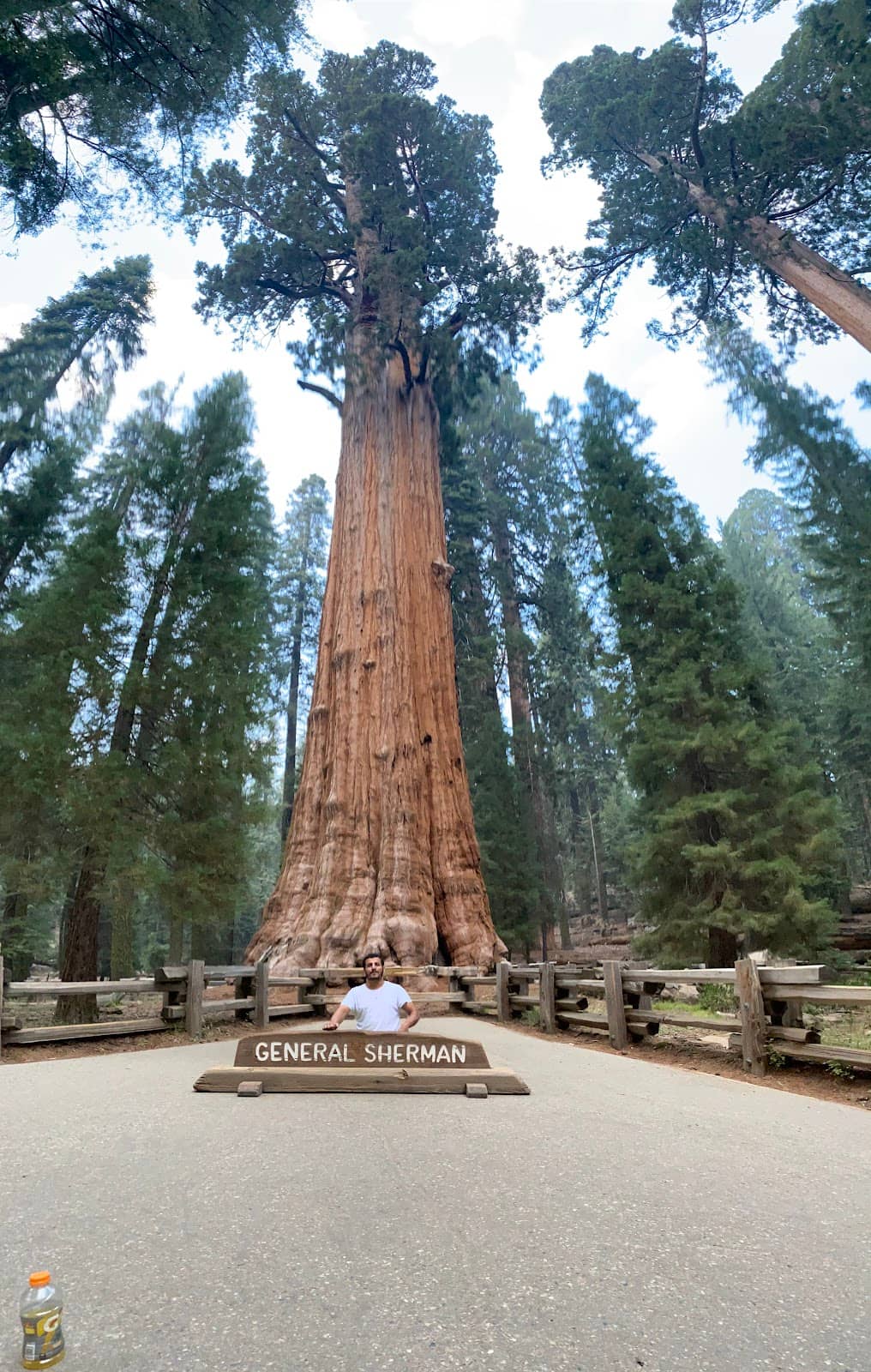 Produce Loading Expertise