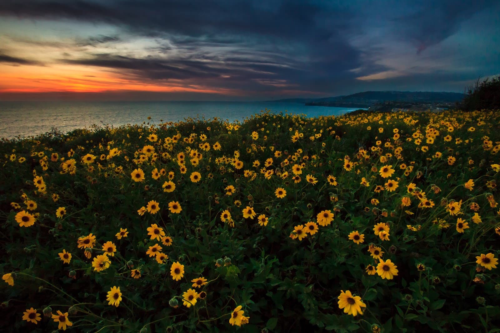 Dana Point Headlands Conservation Area - Image 1