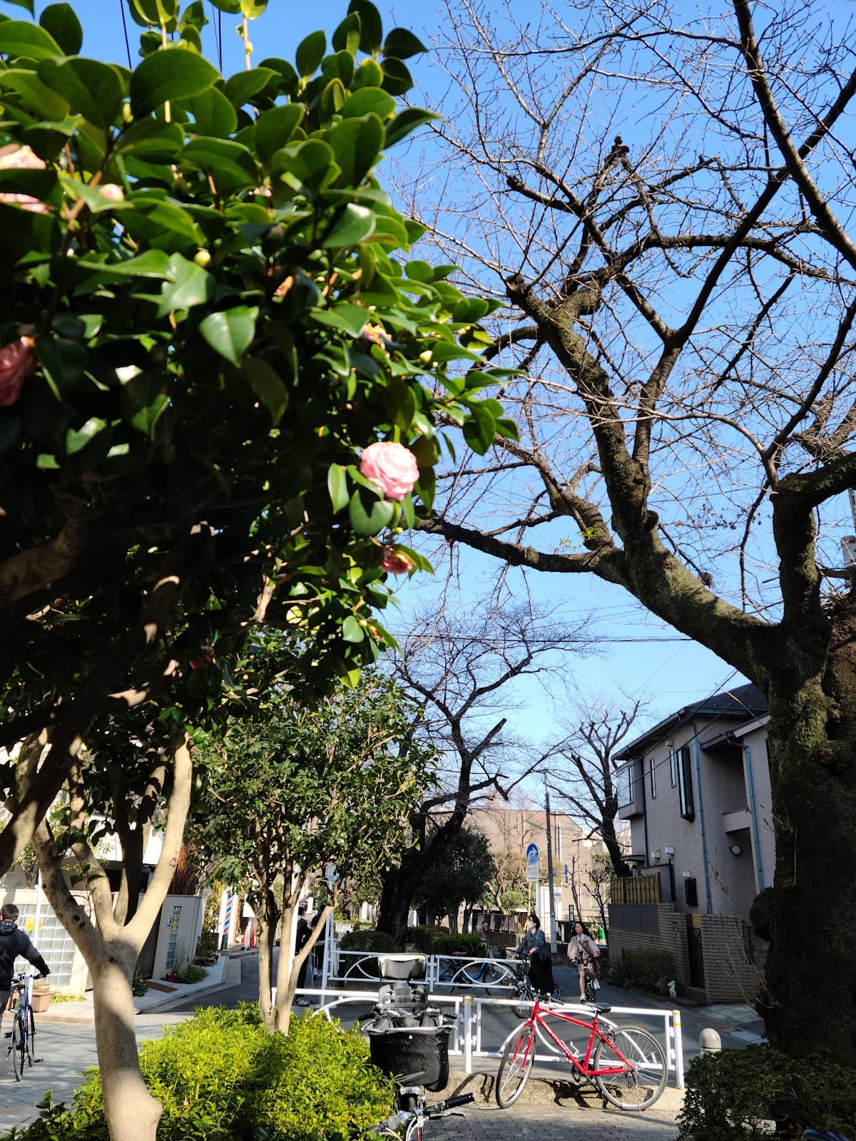 Jiyugaoka - Image 1