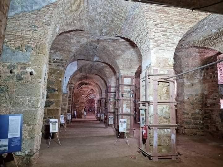 Restoration Insights